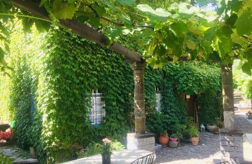Papigo House | Saxonis Houses & Saxonis Villa
