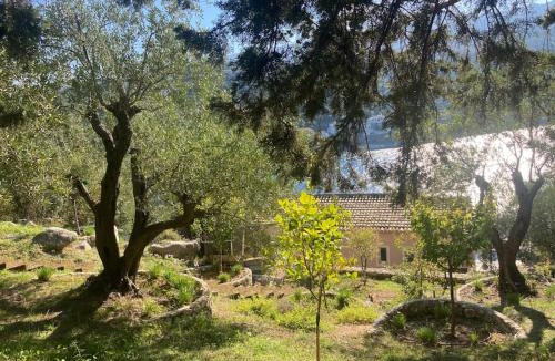 Kassiopi Villa | Sea front house in Kassiopi