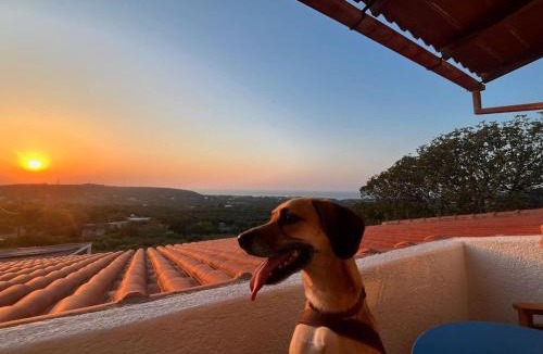 Kounelion Villa | Selena Seaview Villa