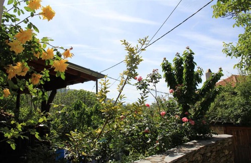 Kazaviti House | Sol Invictus - Lore House