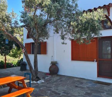 Armenistis Apartment | SPITIKARIOTIKO Ikarian Cottage