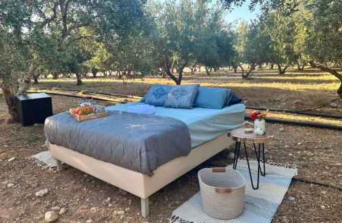 Mires Other | Star Sleep Mires - Cretan Vibes