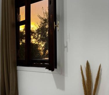 Adelianos Kampos Apartment | Stella's Olive Tree House