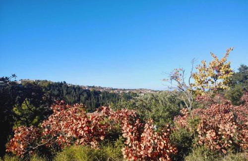 Corinthia Region House | Sto Dimeiko