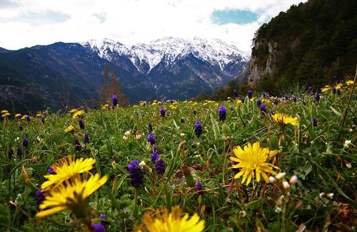Limin Litochorou Hostel | Summit Zero Hostel