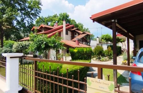 Polykarpion Ski Chalet | "The plane trees"