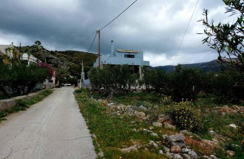 Alika House | The view in Alika