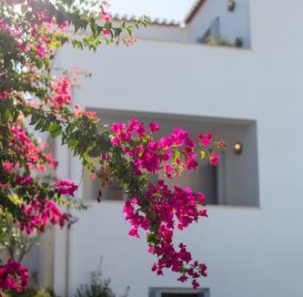 Spetses Villa | The Villa Evita Stunning View with private pool