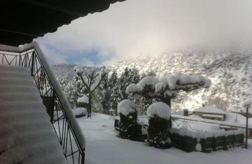 Tsepelovo House | Timfea Chalet
