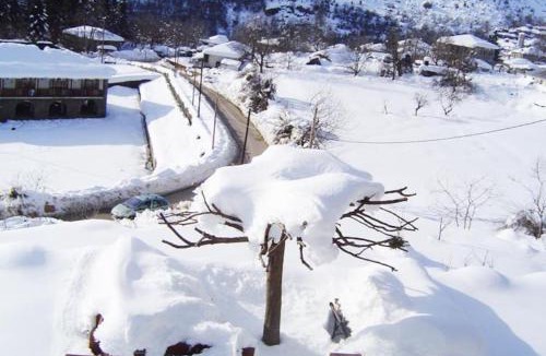 Tsepelovo House | Timfea Chalet