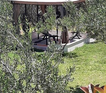 Giannades Villa | Traditional Villa Fioretta