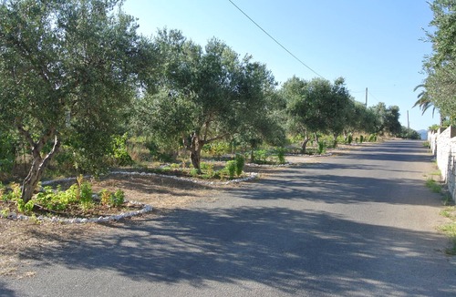 Korfalonas Condo | Traditional Villa with Apartements in Olive Grove