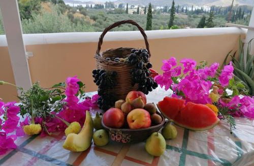 Galatas Apartment | Trizinia view balcony