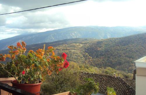 Rapsani House | Vassilis Guesthouse