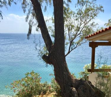 Nea Styra Hotel | Venus Beach Hotel