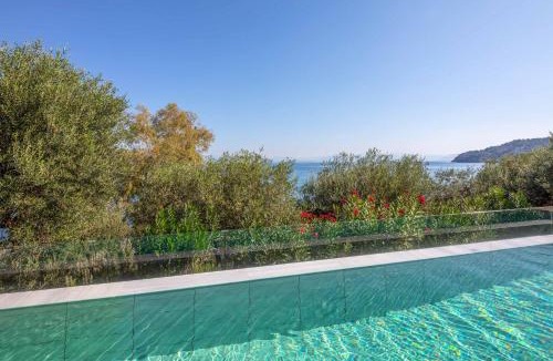 Chlomos Villa | Villa Apanemia Mare