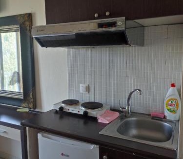 Katerini Apartment | VILLA ARHONTISA