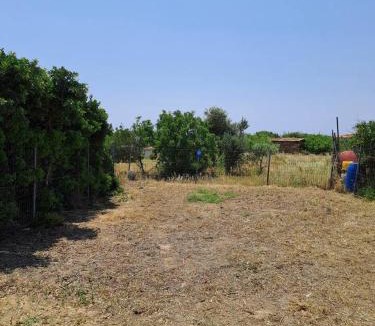 Agia Ermioni Apartment | Villa Dreamy View