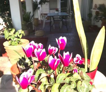 Agios Adrianos House | Villa Ioanna