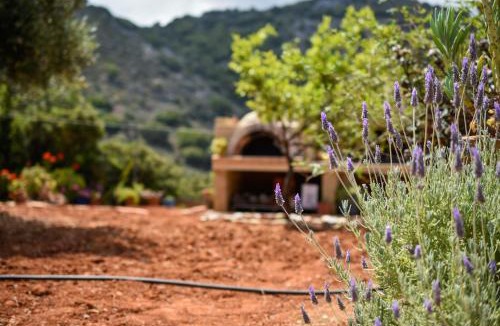 Milatos Villa | Villa Karmilos - A family Villa near the cretan sea and the mountains