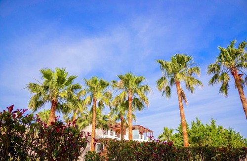 Platanias Villa | Villa Kissos