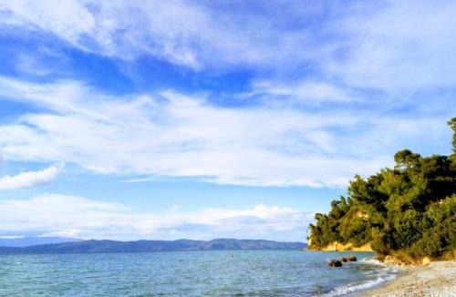 Achinos Apartment | Villa Maria Rosa - - Koutsoubri Beach Evia