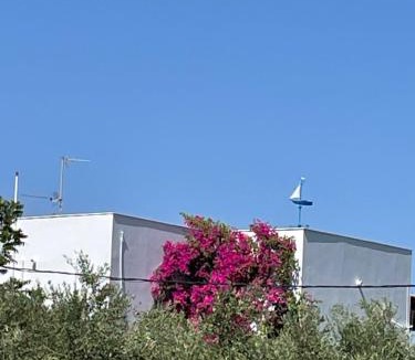 Agrilos Villa | Villa Messinia