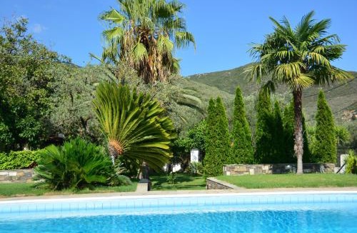 Volos House | Villa Olive