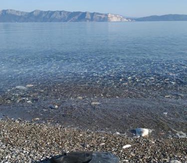 Aravissos Villa | Villa Poseidon Artemisiou Παραθαλάσσια Βίλα στην βόρεια Εύβοια για φιλοξενία 9 ατόμων