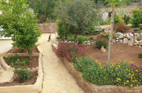 Loutraki-Agioi Theodoroi Villa | Villa Rania Loutraki