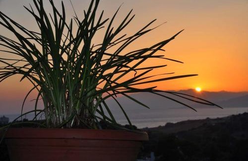 Pitsidia House | Villa Sofita
