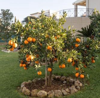Gouvia Villa | VILLA SORELLINA