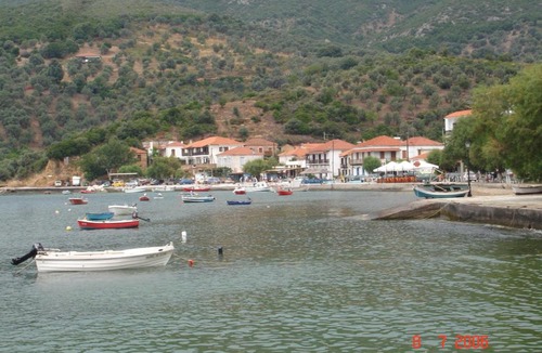 Platania Villa | Villa Tama