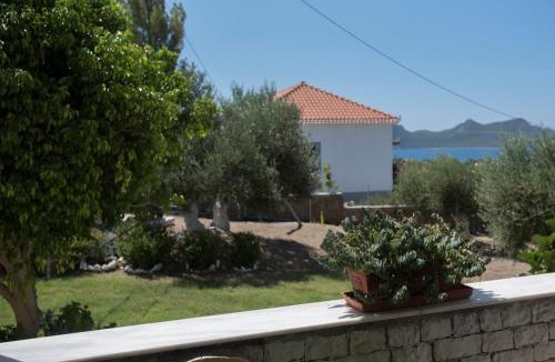 Pylos-Nestoras House | Villa Tapia