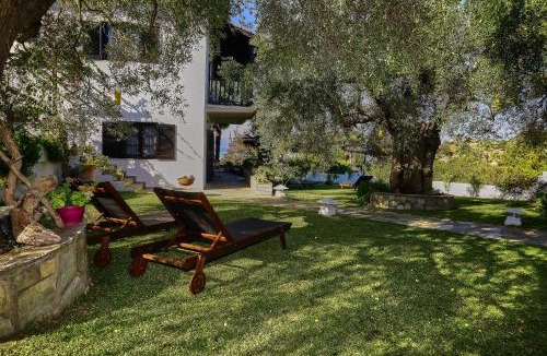 Ormos Panagias House | Villa The Cosy Olive