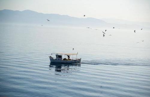 Gaios Villa | Villa Thea Antonis