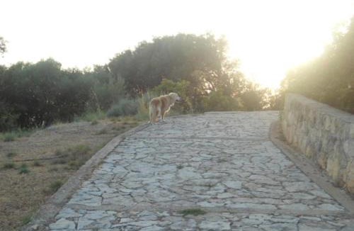 Leivathos House | Villa Tsapoula