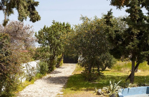 Aegina Villa | Villa Velissarios Aegina