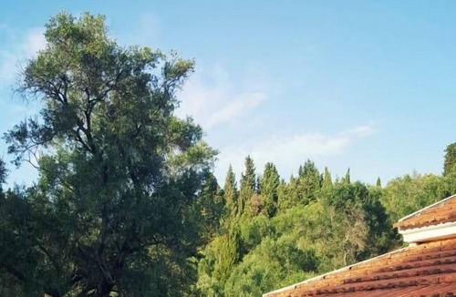 Afionas Villa | Villa with a private pool Afionas Corfu