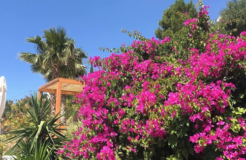 Pefki Villa | Villa with Pool Sea View Fitness