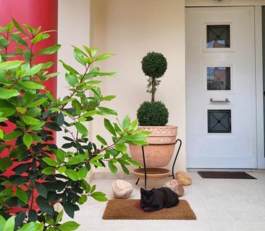 Anatolikos Sinikismos Apartment | Vivere Terrace Seaside Kalamata