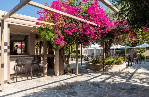 Pefkos Hotel | White Olive Premium Lindos