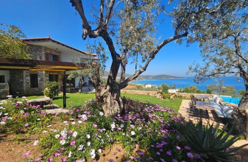 Melissopetra Apartment | Yialasi Hotel
