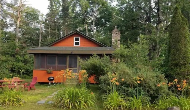 Adirondack Birch Inspired Cabin in Johnsburg