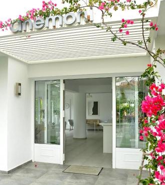 Anemoni Beach Hotel