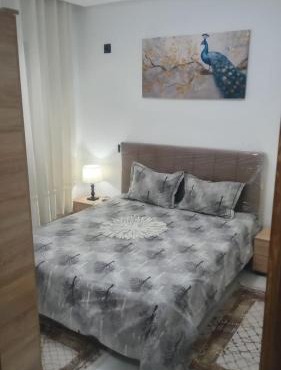 Apartment S1 l'aouina