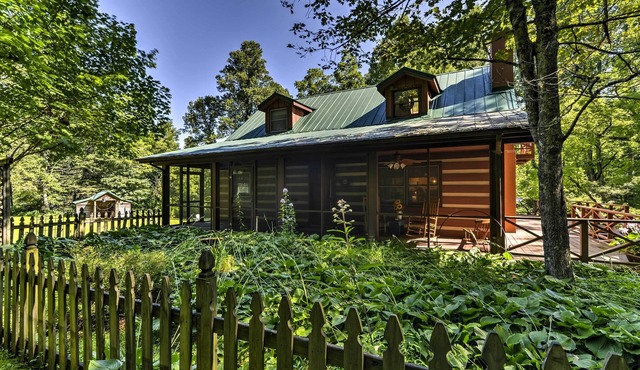 Black Mountain Cabin w/Screened Porch + Views! in Black Mountain