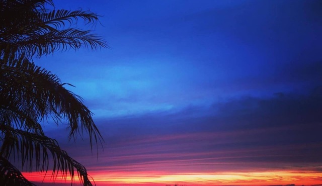 CARLSBAD OCEAN VIEWS ~ 100+ FIVE STAR REVIEWED HOSTS in Carlsbad