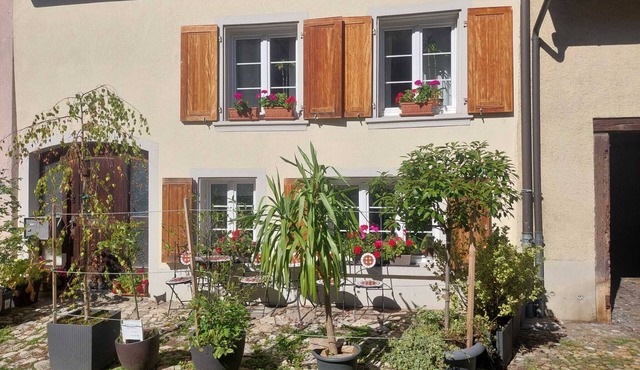 Characteristic 18th-century apartment, hiking groups, families in Waldenburg