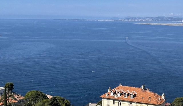 Charming apart in Nice most exclusive area,forest view, terrace,parking in Nice
